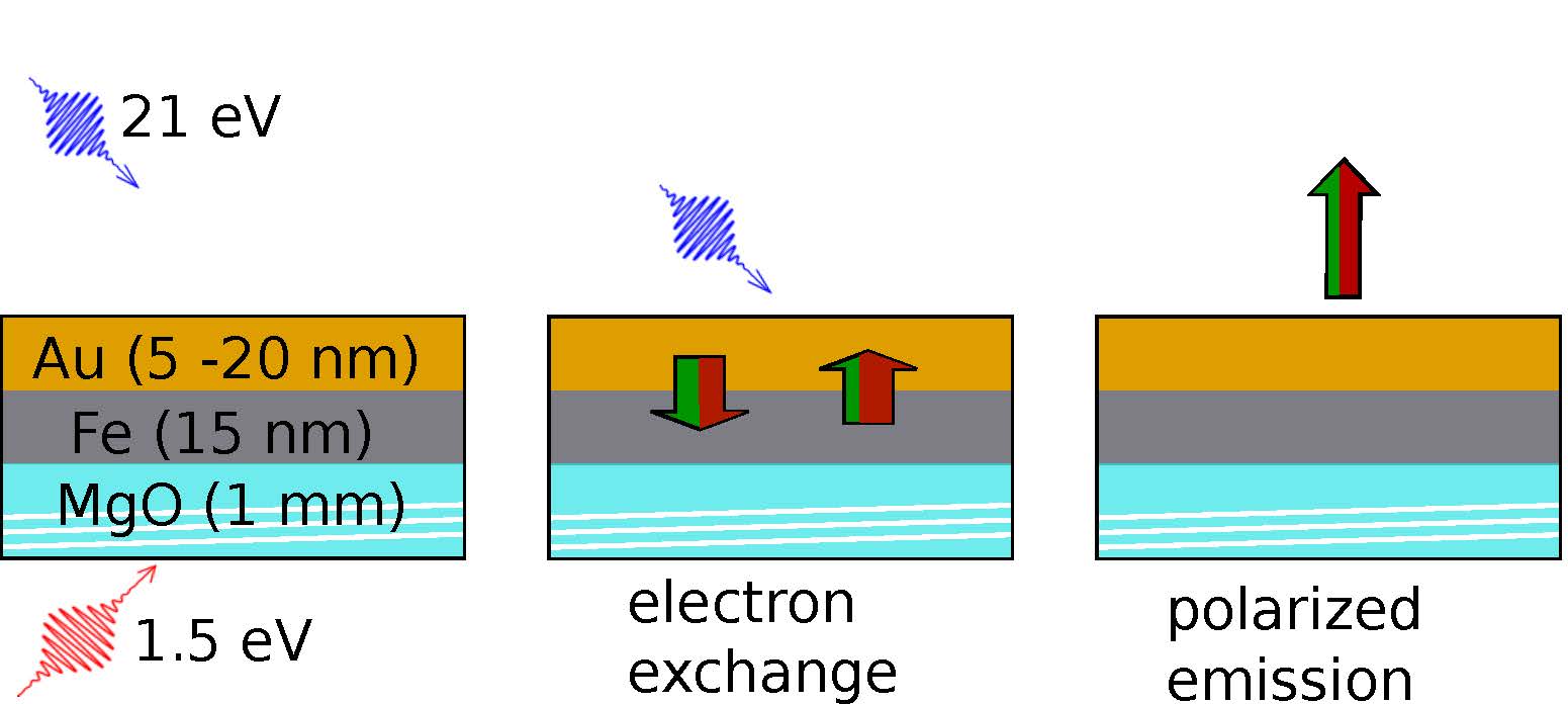 Schematic of the experimental setup